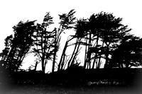 We Know Which Way the Wind is Blowing, CA Coast