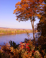 Autumn Along the Missouri, MO