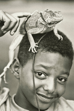 Boy with Iguana