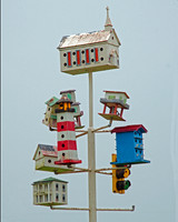 Bird Houses