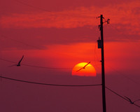 Sunrise Galveston