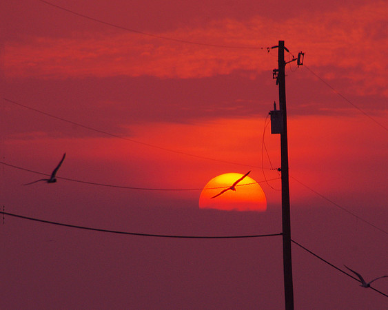 Sunrise Galveston