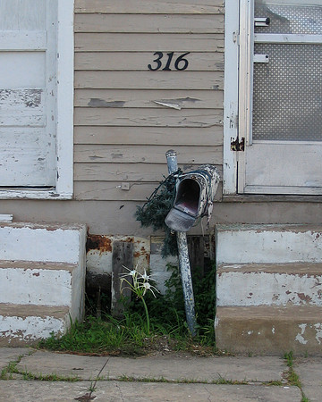 Mailbox & Spider Lilies, Galveston, TX